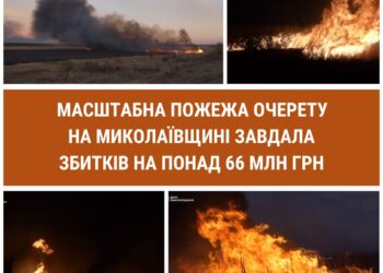 10-годинна пожежа очерету на Миколаївщині завдала шкоди на 66 млн.грн.