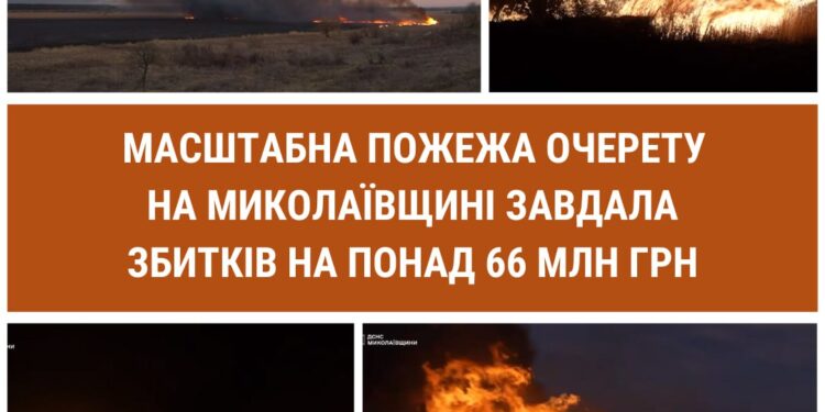 10-годинна пожежа очерету на Миколаївщині завдала шкоди на 66 млн.грн.
