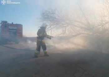 7 пожеж в житловому секторі та 10 на відкритих територіях – що горіло на Миколаївщині протягом доби (ФОТО)