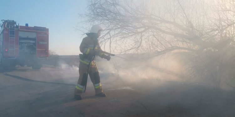 7 пожеж в житловому секторі та 10 на відкритих територіях – що горіло на Миколаївщині протягом доби (ФОТО)