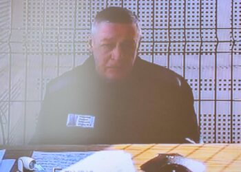 “Я клоун, а не опозиціонер”, – Михайло Єфремов виходить по УДЗ і може стати танкістом (ФОТО)
