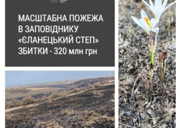 Пожежа у заповіднику «Єланецкий степ» на Миколаївщині завдала шкоди на 320 млн.грн.
