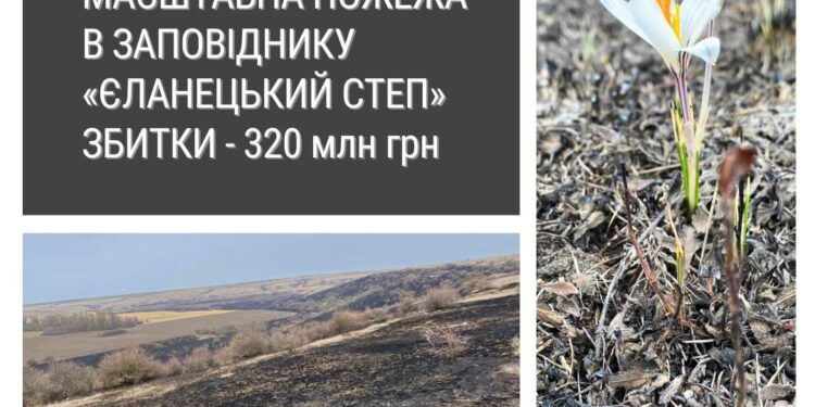 Пожежа у заповіднику «Єланецкий степ» на Миколаївщині завдала шкоди на 320 млн.грн.