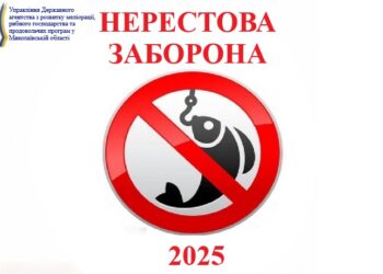 Все про нерестову заборону на Миколаївщині: терміни та локації