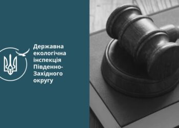 За незаконну порубку дерев троє мешканців Арбузинської громади Миколаївщини сплатять 19 тис.грн.