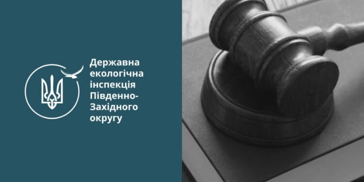 За незаконну порубку дерев троє мешканців Арбузинської громади Миколаївщини сплатять 19 тис.грн.