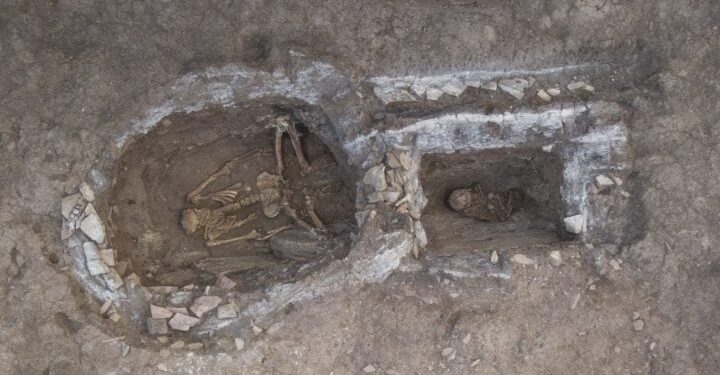 Половина населення землі походить від Ямної культури, генетична колиска якої знаходиться на території сучасної України