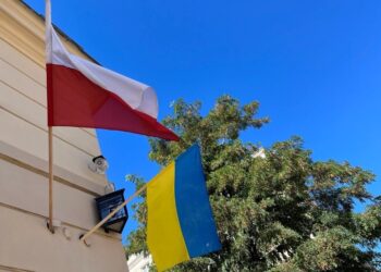 У польському МЗС прокоментували заяви Маска про Starlink для України