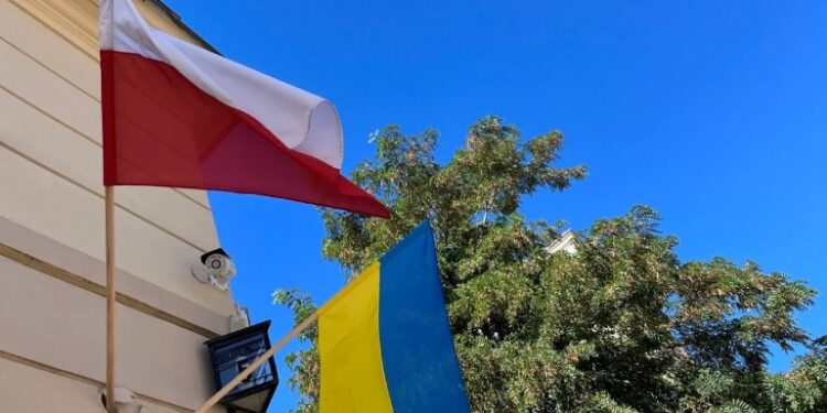 У польському МЗС прокоментували заяви Маска про Starlink для України