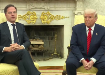 Трамп заявив, що з Україною обговорювали території і електростанцію