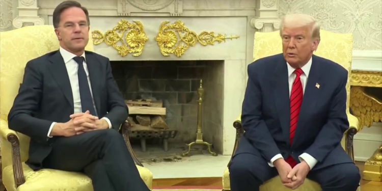 Трамп заявив, що з Україною обговорювали території і електростанцію