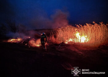На Миколаївщині протягом доби вигоріло понад 16 га відкритих територій (ФОТО)