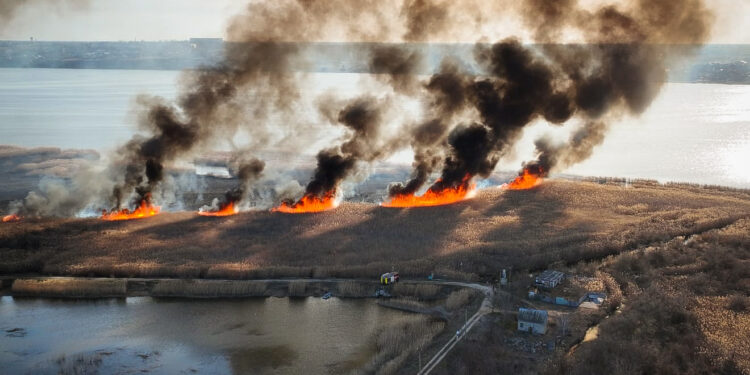 За добу в Миколаївській області зареєстровано 21 пожежу, дві з них – через ворожі атаки (ФОТО)