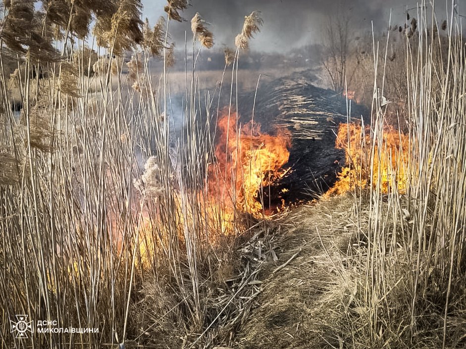 На Миколаївщині за вчора вигоріло понад 18 га відкритих територій (ФОТО) 6