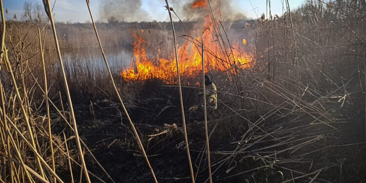 На Миколаївщині за добу вигоріло понад 11 га відкритих територій (ФОТО)