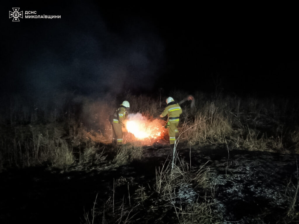 На Миколаївщині за вчора вигоріло понад 18 га відкритих територій (ФОТО) 8