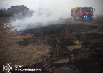 Минулої доби на Миколаївщині ліквідовано 17 пожеж (ФОТО)