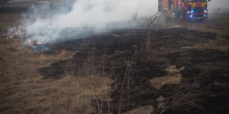 Минулої доби на Миколаївщині ліквідовано 17 пожеж (ФОТО)