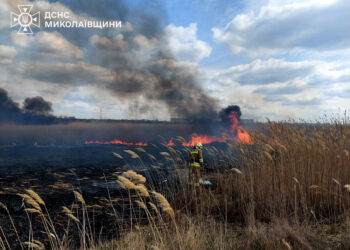 У Миколаєві невідомі підпалили очерет, згоріло 4,5 га
