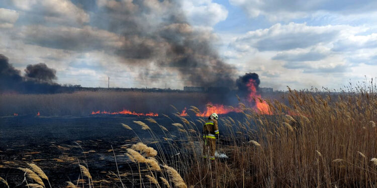 У Миколаєві невідомі підпалили очерет, згоріло 4,5 га