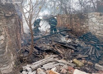 За добу на Миколаївщині рятувальники 19 разів виїжджали на гасіння пожеж (ФОТО)