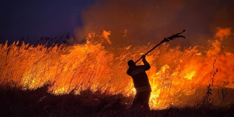 Вогнеборці Миколаївщини гасять дві масштабні пожежі очерету (ФОТО)