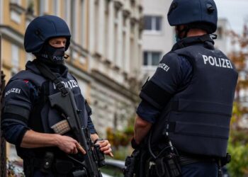 В Австрії викрили російську мережу шпигунів та маніпуляторів (ФОТО)