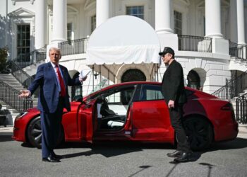 Від автомобільних мит Трампа програють всі. А Маск виграє – Bloomberg