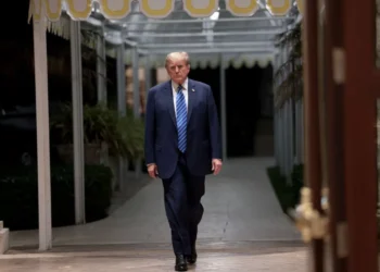 Квитки на Трампа. За індивідуальну зустріч він бере з бізнесменів по $5 млн, за колективну вечерю – по $ 1 млн