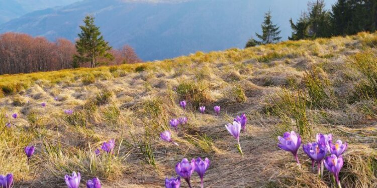 Березень дивує: тепло на сході, зливи та навіть сніг на заході