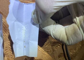 У Вознесенську на Миколаївщині поліція викрила наркоділерів – збували психотропи і не тільки (ФОТО)