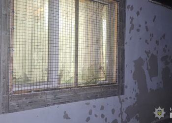 У Коблеве на подвір’я будинку кинули гранату – поліція затримала 6 причетних з двох областей (ФОТО)