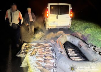 На Миколаївщині затримали ще двох браконьєрів, які сітками виловили 60 рибин (ФОТО)