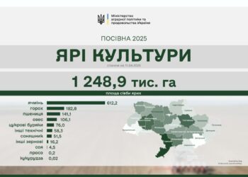 Весняна посівна-2025 – Миколаївщина замикає п’ятірку лідерів