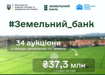 Аукціони «Земельного банку» – найдорожчим лотом знов стала земельна ділянка на Миколаївщині