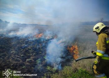 На Миколаївщині горів склад, очерет і авто