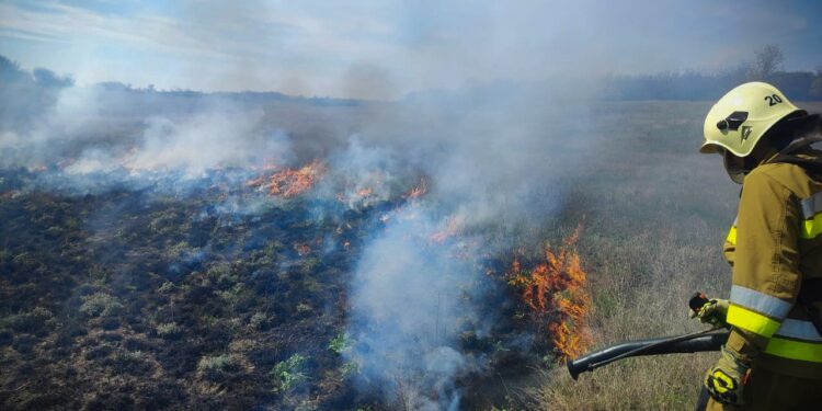 На Миколаївщині горів склад, очерет і авто