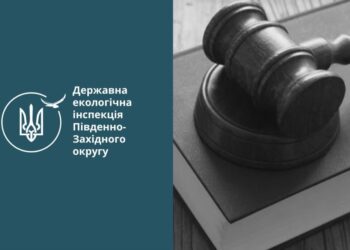 За незаконну порубку дубів на Миколаївщині чоловік сплатить понад 47 тис.грн.
