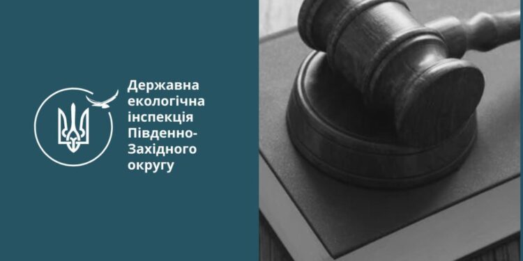 За незаконну порубку дубів на Миколаївщині чоловік сплатить понад 47 тис.грн.