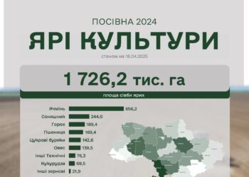 Посівна-2025 – кукурудзу сіють вже в 13 областях України