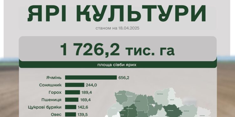 Посівна-2025 – кукурудзу сіють вже в 13 областях України