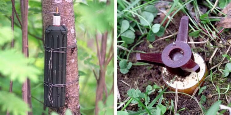 Фінляндія вийде з Конвенції про заборону протипіхотних мін – витрати на оборону зростуть