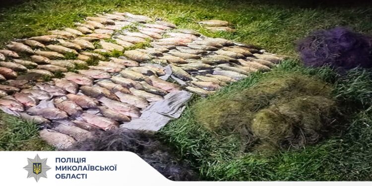 Виловив 125 рибин на понад 200 тис.грн. під час нерестової заборони: на Миколаївщині поліцейські викрили браконьєра