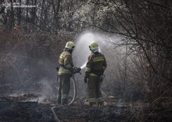 Минулої доби на Миколаївщині п’ять разів горіли сухостої