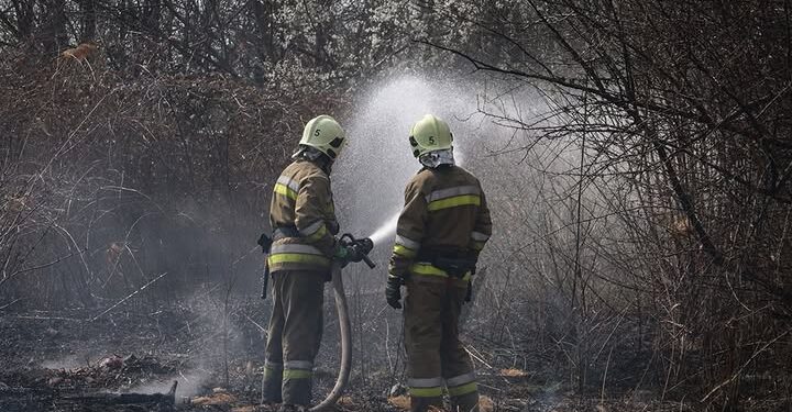 Минулої доби на Миколаївщині п’ять разів горіли сухостої