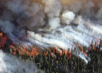 У Сибіру вирують сильні пожежі – вогонь підступає до будинків жителів