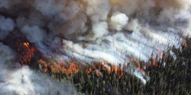 У Сибіру вирують сильні пожежі – вогонь підступає до будинків жителів