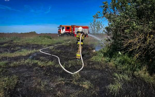 За добу на Миколаївщині зареєстровано 11 пожеж (ФОТО)