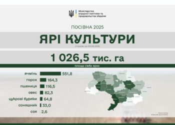 Весняна посівна-2025 – Миколаївщина в ТОП-5 за темпами сіву