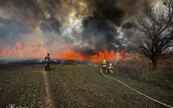 У Корабельному районі Миколаєва горів очерет – вогонь, який йшов до житла, зупинили вогнеборці (ФОТО)